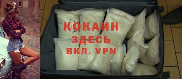 индика Домодедово