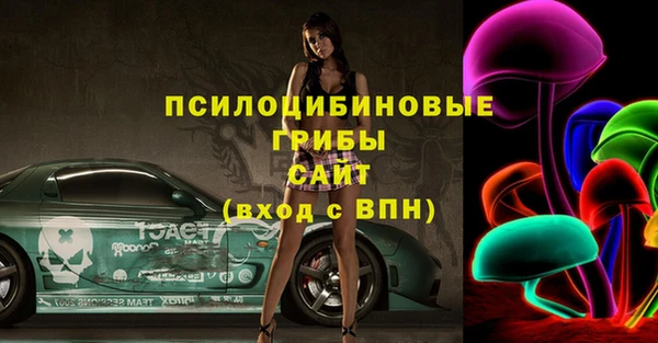 МДПВ Майский
